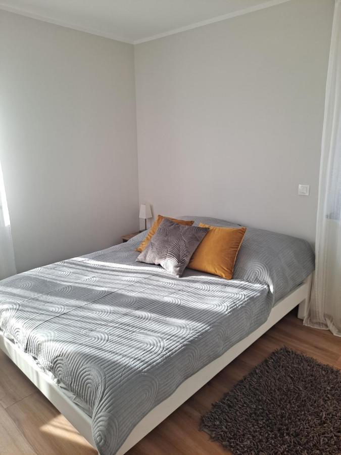 Apartament Sarna 耶莱尼亚古拉 外观 照片